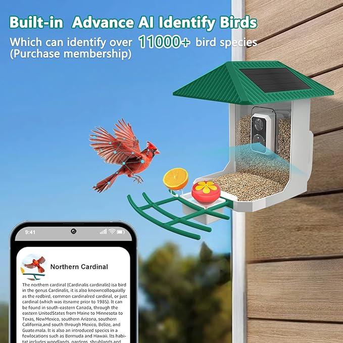 2.5K Smart Bird Feeder with Camera, 5GHz &2.4GHz Birds Watching Camera with AI Identify Bird Species, Outdoor Birds Feeder House with Solar Panel for BirdLovers (Green)