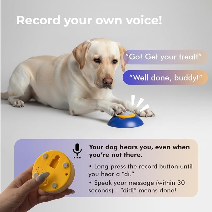 Interactive Dog Puzzle Feeder Toy, Automatic Dogs Treat Dispenser for IQ Training & Slow Feeder, Dog Food Dispenser with Remote Button, Suitable for Indoor or Outdoor Play, All Breeds, OtterVerz 11