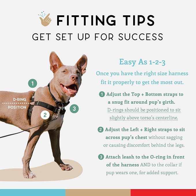 No Pull Dog Harness | Comfortable Training Harnesses | Effective No Pull Harness Design | Ideal for Large Sized Dog | 4-Point Adjustable (XL - 30~36 inch Girth, Black)