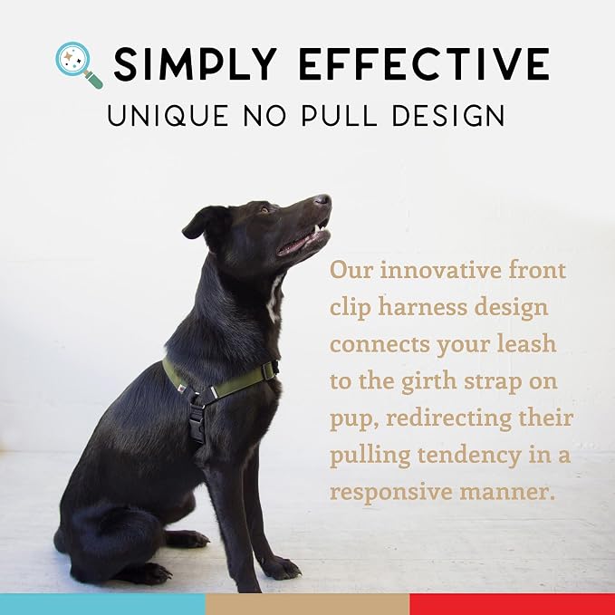 No Pull Dog Harness | Comfortable Training Harnesses | Effective No Pull Harness Design | Ideal for Medium Sized Dog | 4-Point Adjustable(M - 22~28 inch Girth, Olive)