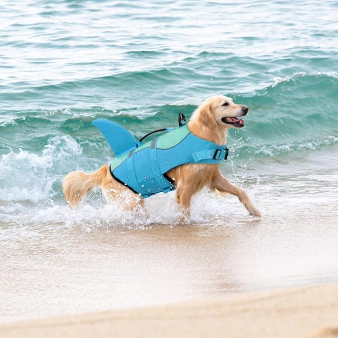 Shark Dog Life Jacket, Dog Life Vests for Boating, High Buoyant Pet Life Vest for Swimming, Adjustable Easy On Pet Life Jackets for Small, Medium, Large Dogs (Pool Blue,M)