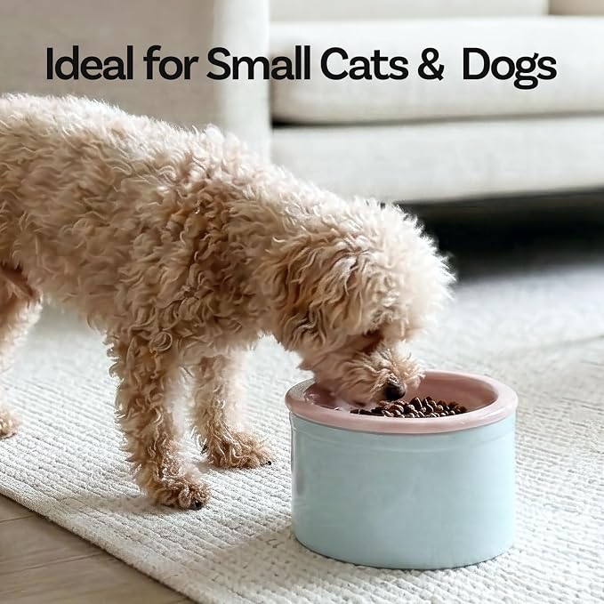 Hello Bowl Elevated Ceramic Cat Bowl with Stand, Raised Whisker-Friendly Feeding Bowl for Cats & Small Dogs, Patented Design, Made in Korea (Blue, Round Only/Wet)