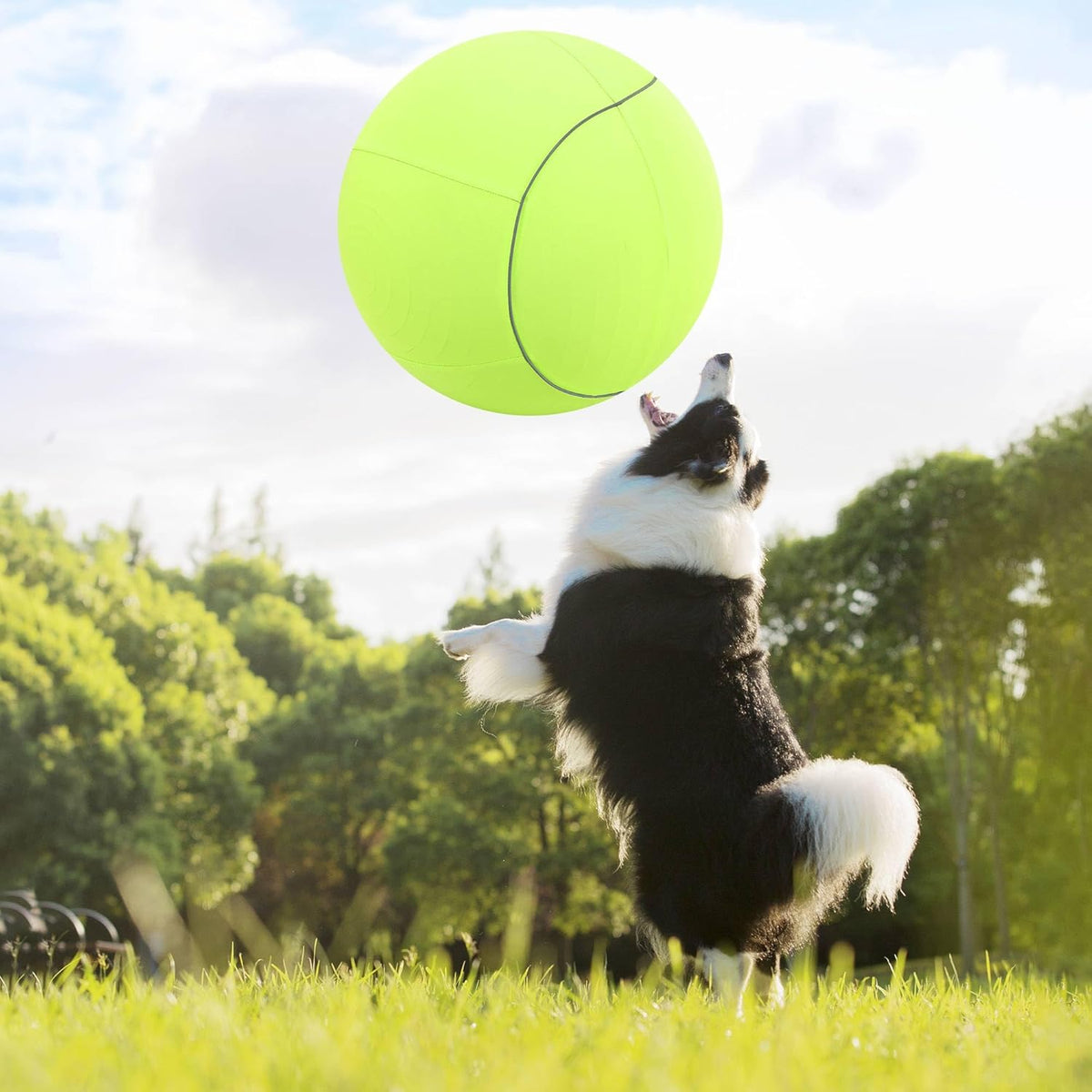 Herding Ball for Dogs & Horses - 20" with Cover Large Green Ball with Pump