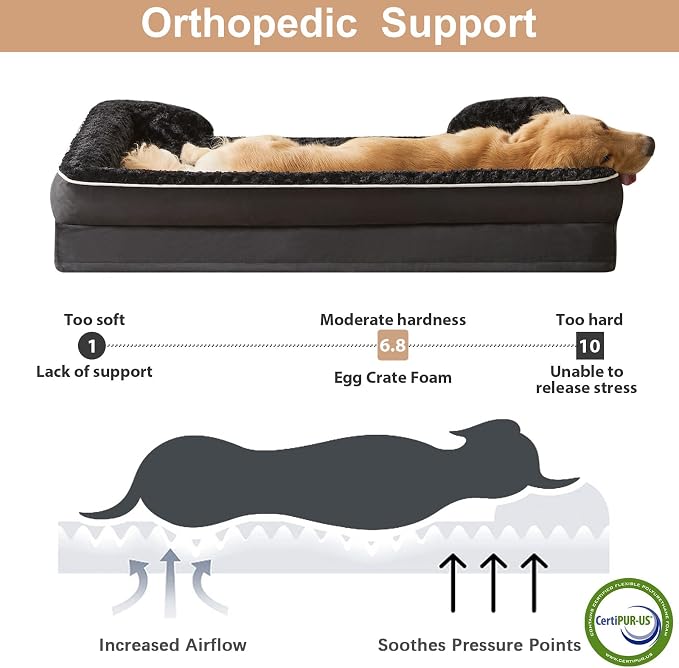 WNPETHOME Orthopedic Washable XXL Dog Bed for Senior Dog Cozy Sleep | Extra Large Waterproof Big Soft Dog Couch Sofa Bed for Dogs Relax with Removable Cover Supportive Pet Bed Black 54x36 Inch