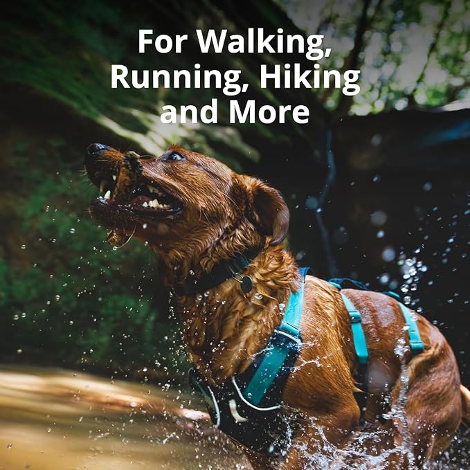 Ruffwear, Flagline Dog Harness, Lightweight and Reflective, No Pull Dog Lift Harness for Hiking, Running and Everyday Use, Sage Green, Small