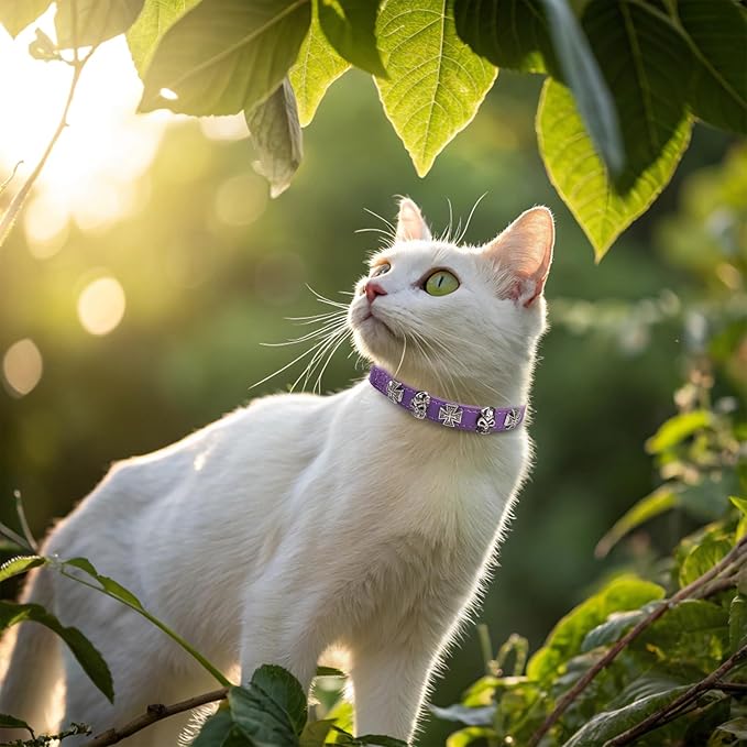 EXPAWLORER Leather Cat Collar for Girl Boy- Adjustable Pet Collar with Safety Elastic Belt,Personalized Punk Accessories Buckle Collars with Bell & Durable D-Ring, Skull(Purple)