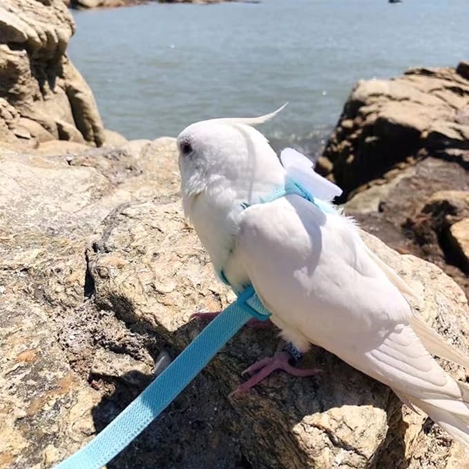 Pet Parrot Bird Harness Leash Adjustable Bird Flying Harness Traction Rope with Cute for Parrots Budgerigar Lovebird Cockatiel Mynah Outdoor Training Toy (Cockatiel/Green-cheeked Conure,White)