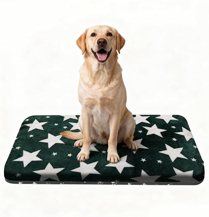 Washable Dog Bed Plush Orthopedic Outdoor Crate Mat with Non-Slip Bottom,Luxe Soft Kennel Pad for Pets, Cozy Cage Cushion & Pet Sleeping Mattress Large Sized,Medium,Small Dogs,36x24 inch,Green