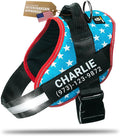 Personalized Dog Harness with Custom Name Patches, Adjustable Reflective No Choke Dog Vest with Handle for Small Sized Dog, Light Blue, S