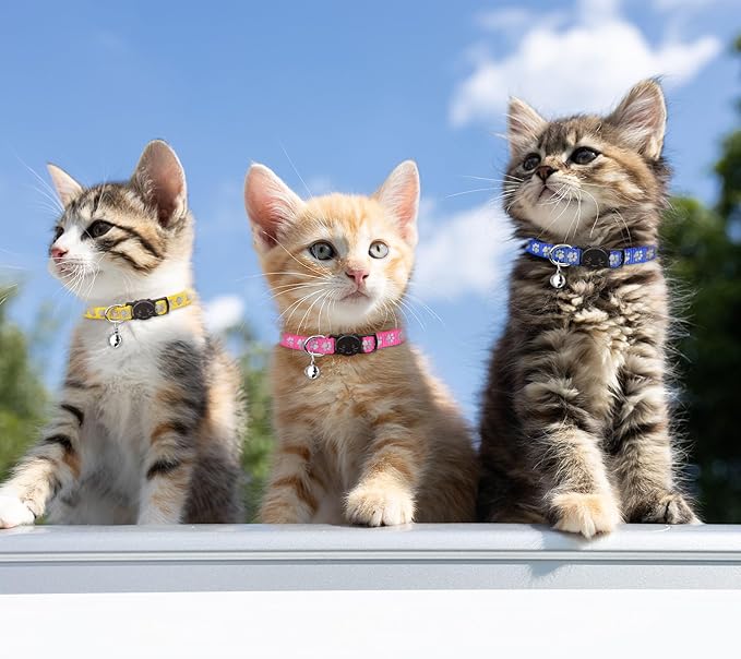 16 PCS Breakaway Cat Collars with Bells Reflective Cat Collar Safety Nylon Kitten Collars Cat Collars for Girl Boy Cats(6"-9")