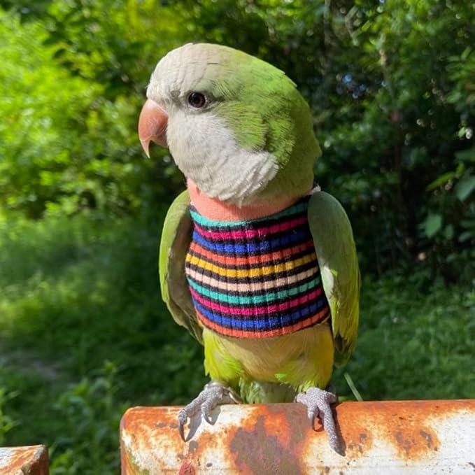 Bird Clothes - Handmade Cotton Stripe Shirt Round Collar Sweater Flight Suit for Parrots African Greys Parakeet Cockatiel Sun Conure Christmas Halloween (with Diaper,2XL)