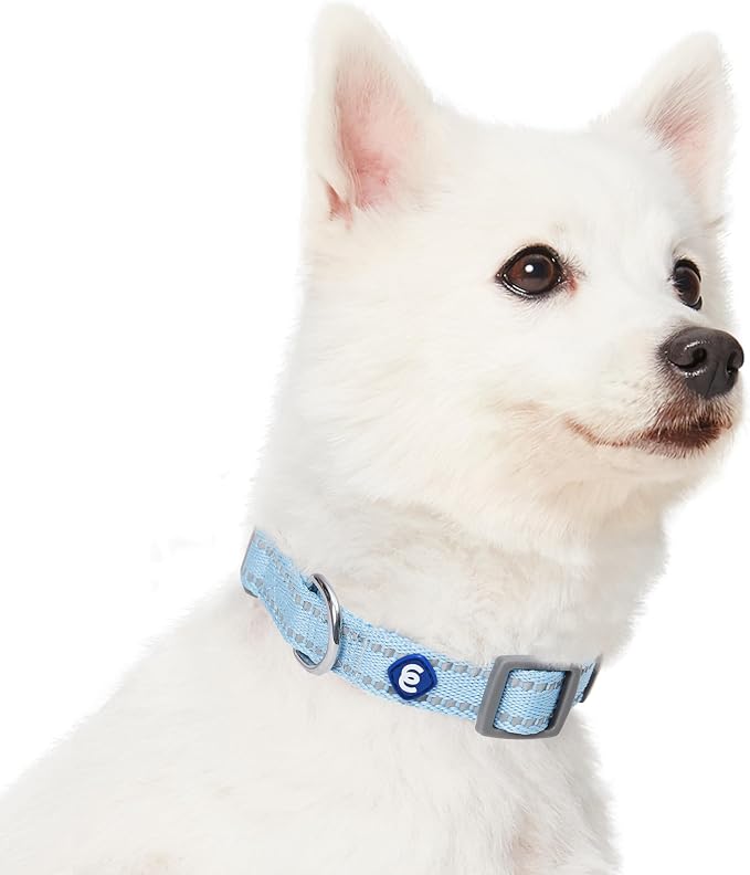 Blueberry Pet Essentials Reflective Dog Collar & Leash Set, Adjustable for Medium Dogs | Safe Walking Gear for Pet Parents, Puppy Training & Daily Use MediumDogs, Baby Blue