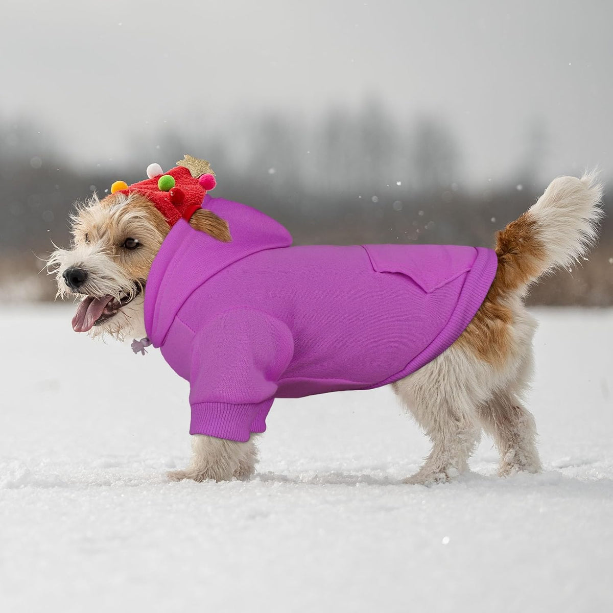 Purple Dog Hoodie Sweatshirt with Pocket - Soft Brushed Fleece Dog Clothes for Small Dogs (XS)