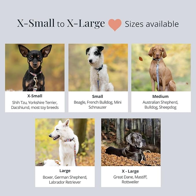 Lucky Love Dog - Adjustable Dog Collar with Easy Click Noel for Large Ones, Durable, & Comfortable for Male & Female Dogs, Pet Collar for Puppies & Adult Dogs - Noel, Large