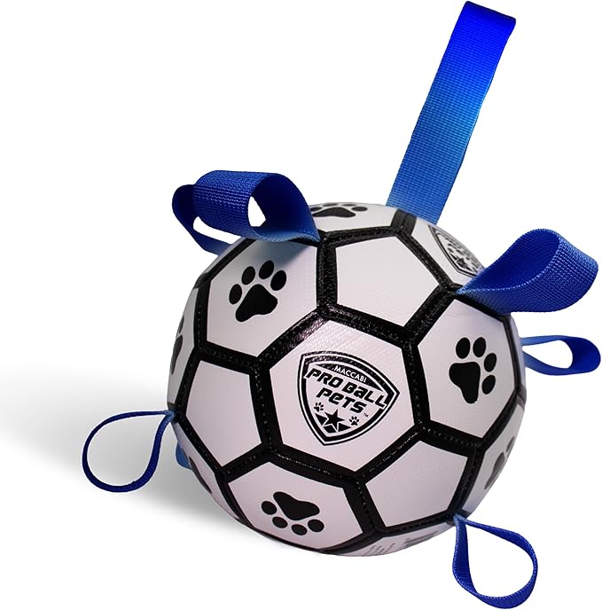 ProBall Pets Interactive Dog Soccer Ball with Grab Tabs - Floats on Water, Fetch & Training Toy for Small Medium Dogs, Herding Breeds - Waterproof Non-Toxic - 6" White Blue