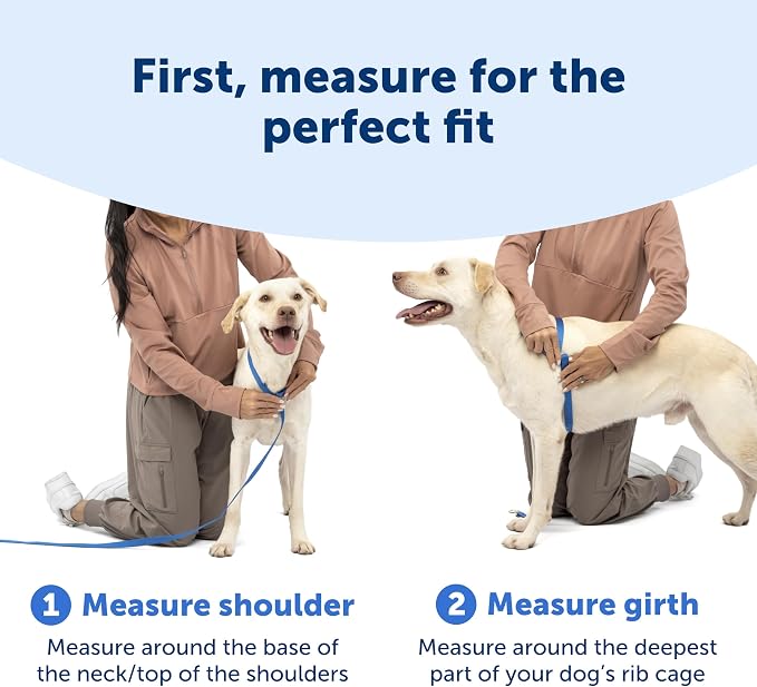 PetSafe Easy Walk Comfort No Pull Dog Harness, Green, Large | Stops Pulling on First Use with Front Martingale Loop, Full-Body Padding, 5-Point Adjustable Fit