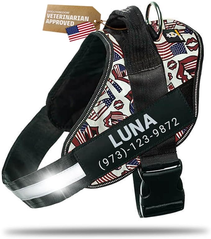 Personalized Dog Harness with Custom Name Patches, Adjustable Reflective No Choke Dog Vest with Handle for Medium Sized Dog, USA, M