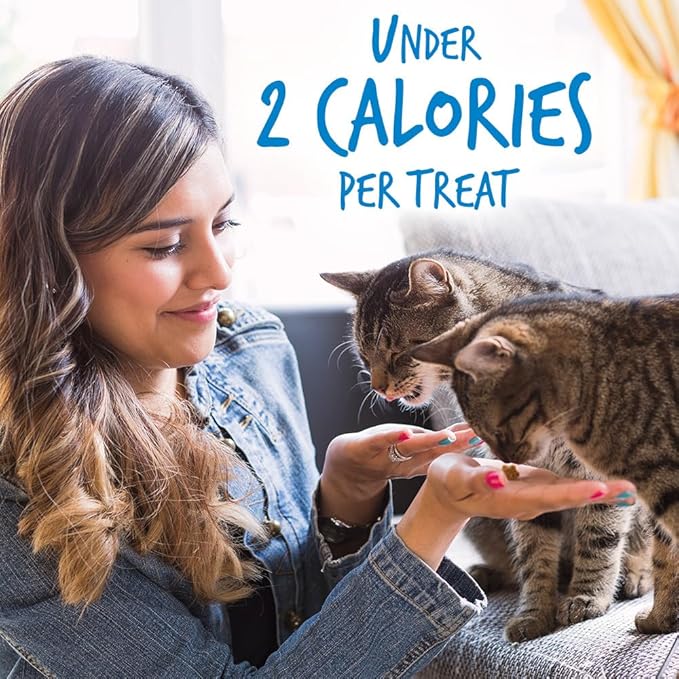 Fruitables Cat Treats Crunchy Cat Treats Packed with Protein Healthy Low Calorie Free of Wheat, Corn and Soy Made with Real Chicken and Blueberry 30 Ounces