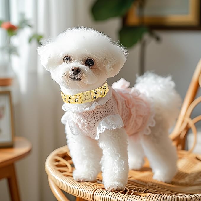 Yellow Bee Dog Collar, Cute Spring/Summer Cartoon Boy Girl Dog Collars, Adjustable Heavy Duty Male Female Dogs Collar for Small Medium Large Dogs with Metal Buckle M