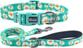 Dog Collar Leash Set, Floral Pattern, with Safety Reflective Strips, 5 ft Matching Leash, Neoprene Padded Handle, Adjustable 4 Sizes for Small Medium Large Dogs.(M, Green Daisy)