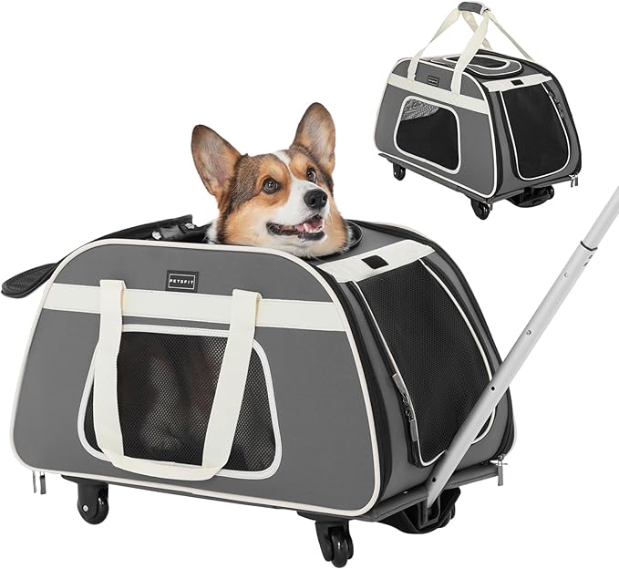 PETSFIT Large Pet Carrier with Wheels Designed for 2 Small Dogs/Multiple Kittens/Medium Dogs with Adjustable Safety Rope & Waterproof Bottom(𝑵𝒐𝒕 𝒂𝒊𝒓𝒍𝒊𝒏𝒆 𝒂𝒑𝒑𝒓𝒐𝒗𝒆𝒅)