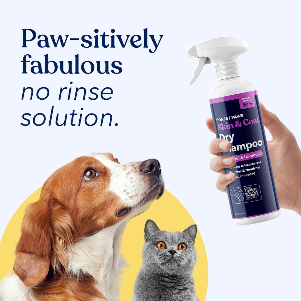 Honest Paws Dog Dry Shampoo - Waterless No Rinse Spray Formula Reducing Itch Cleanse Hydrate Nourish Dry Skin and Smelly Coat Help Decrease Odor Shedding and Allergies - Oatmeal & Lavender - 16 oz