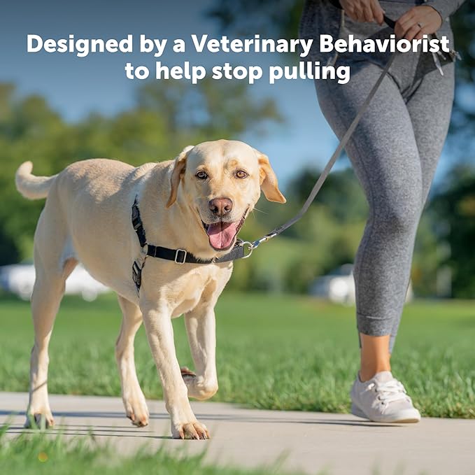 PetSafe Easy Walk No-Pull Dog Harness-Ultimate Harness to Help Stop Pulling -Pull-Free Walks-Control & Teach Better Leash Manners-Patented Martingale Loop Design-Charcoal Gray,Small/Medium (Pack of 3)