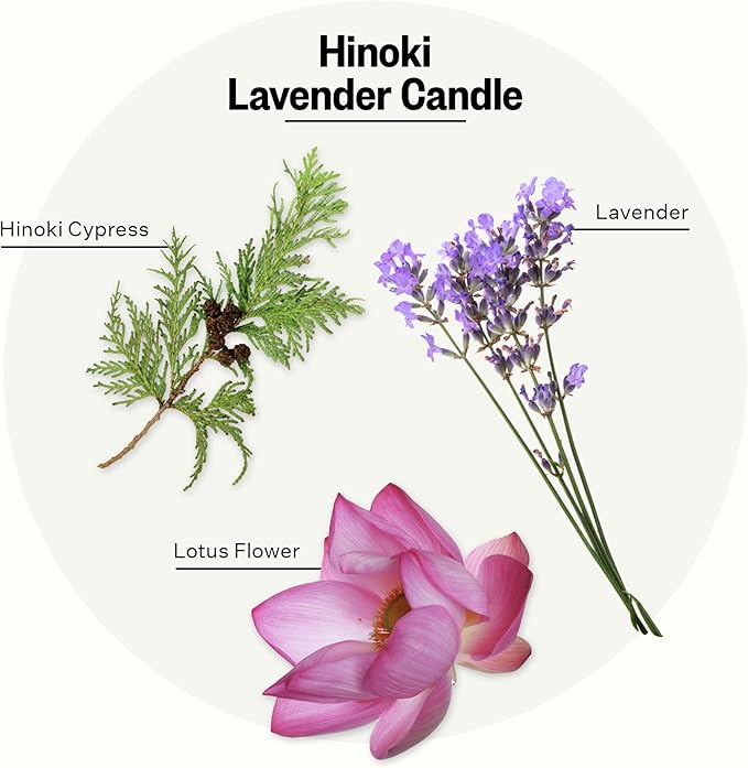 Apotheke 3-Wick Scented Candles for Home, Hinoki Lavender - 26 oz Soy Wax Jar Candle Gift for Women - Long-Lasting Fragrance with Perfume-Grade Essential Oils - Lavender, Lotus Flower, Hinoki Cypress
