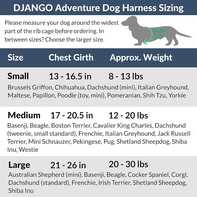 Adventure Dog Harness - Stylish and Comfortable Medium Dog Harness for Outdoor Adventures and Everyday Wear - Black Neoprene Adjustable Harness for Dogs with Reflective Piping and Brass D-Ring