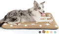 Mora Pets Dog Crate Pad Washable Dog Bed for Crate Flat Cat Pet Kennel Mat | Ultra Soft Dog Bed Mat, Crate Pad for Dog Cages Cozy Sleeping Liner, Pet Pillow Cushion Large Puppy Bed Anti Slip Brown 36x23