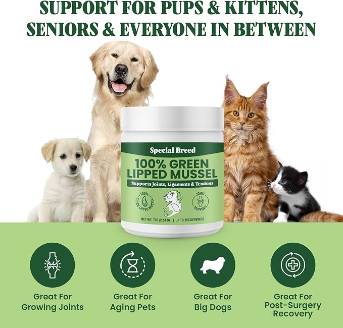Green Lipped Mussel Powder for Dogs & Cats - 100% New Zealand Green Lipped Mussels - Natural Hip & Joint Supplement for Joints, Tendons, Ligaments, Muscles - 75 Grams - Up to 250 Servings