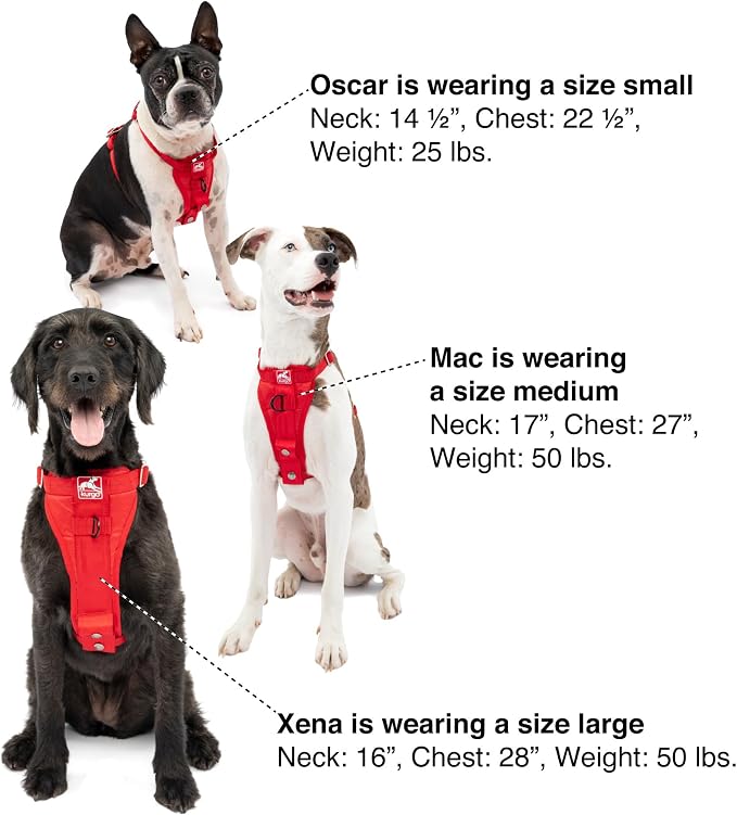 Kurgo Enhanced Strength Tru-Fit Smart Harness, Black, Extra Large | Crash Tested Car Harness for Dogs up to 75Lbs, Seatbelt Tether & Steel Carabiner, All-Steel Buckles, Padded Chest for Comfort