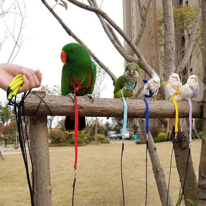 Adjustable Bird Harness with Elastic Leash, Pet Parrot Harness and Leash, Adjustable Training Design Anti-Bite, Bird Nylon Rope with Cute Wing for Conure (Orange,S)