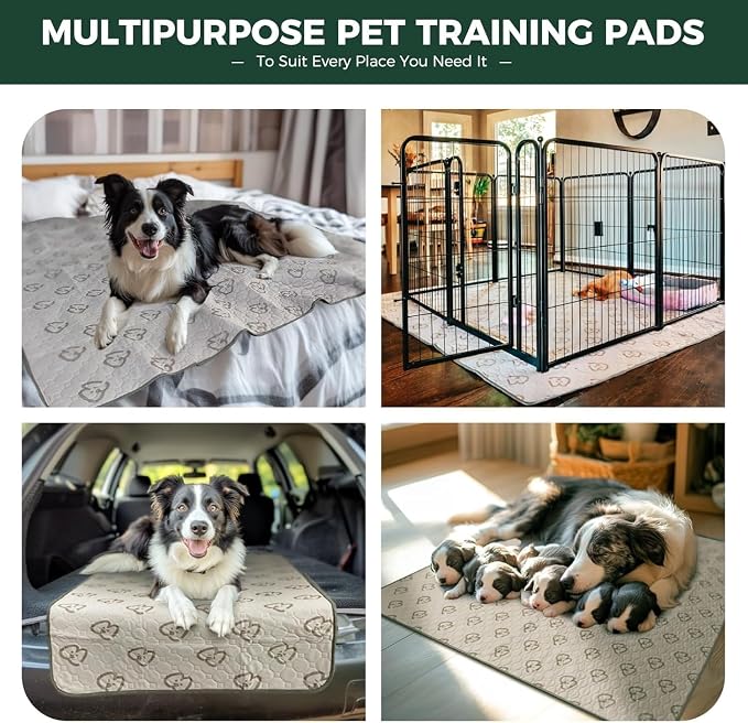 FXW Washable Pee Pads for Dogs, Super Absorbent, 34" Octagon, 1 Pack | Machine washable, Non-slip backing, Fits 32"/40"/45"H 8-Panel FXW Rollick/Homeplus Playpens
