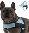 Dog Friendly Co. Dog Harness for Small Dogs (Sky Blue, Small) | One Click Buckle, Chafe Resistant Webbing, Adjustable Neck & Chest, and Heavy Duty D-Ring, Sturdy Comfortable and Easy to Use