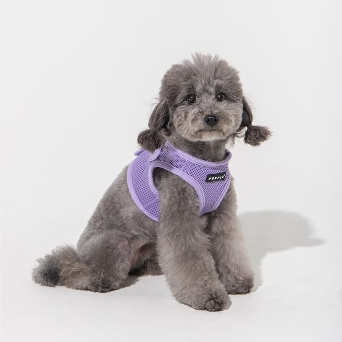 Puppia Soft Vest Dog Harness Step-in Padded Mesh No Choke No Pull Comfortable Walking Running Training for Small Medium Large Dogs, Violet, Medium