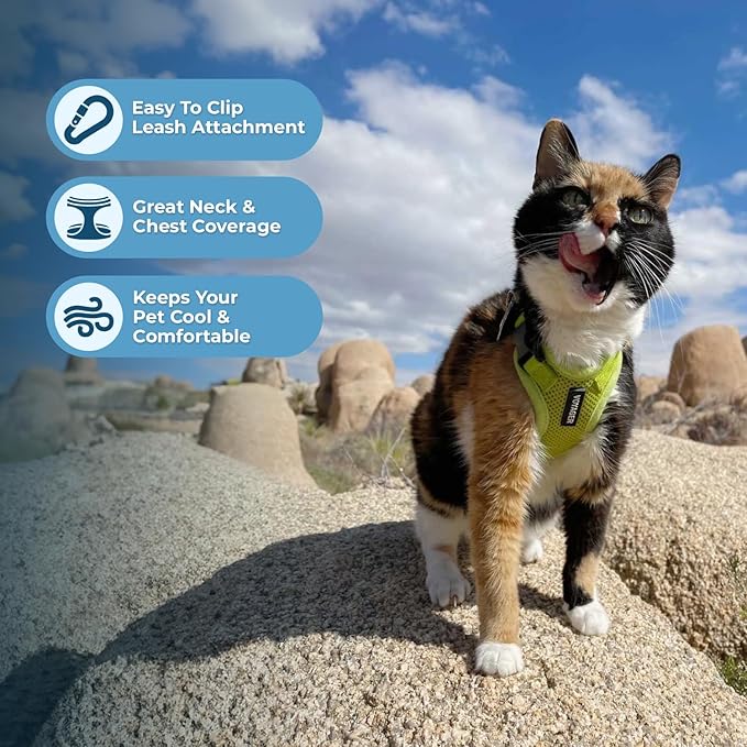 Voyager Step-in Lock Adjustable Cat Harness w. Cat Leash Combo Set with Neoprene Handle 5ft - Supports Small, Medium and Large Breed Cats by Best Pet Supplies - Lime Green, XS