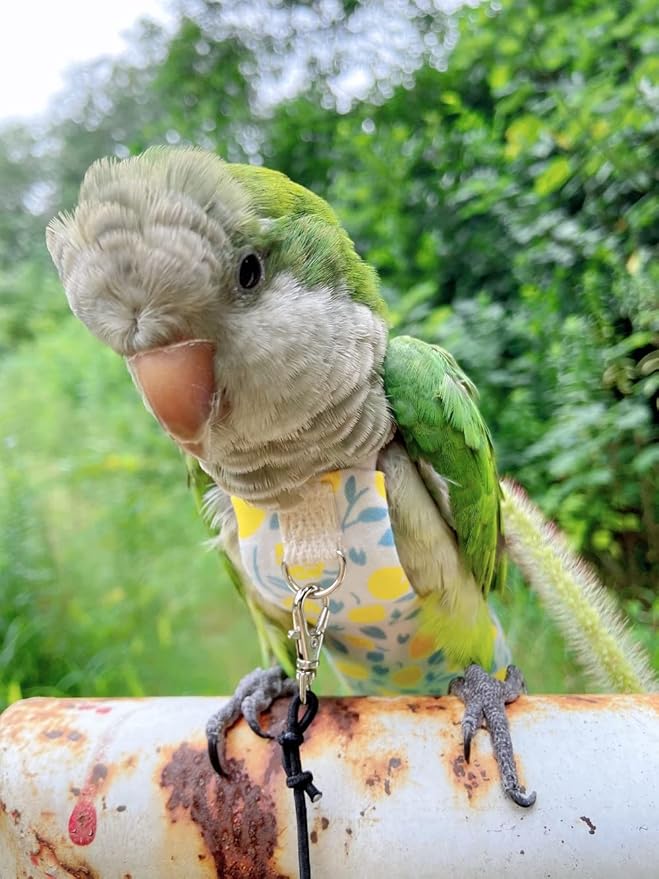 Bird Diaper Harness Flight Suit Clothes, Parrot Flight Suit with Leash, Bird Flying Clothes with Rope and Handle for Outdoor Activities Training (Yellow Without Leash,Large)