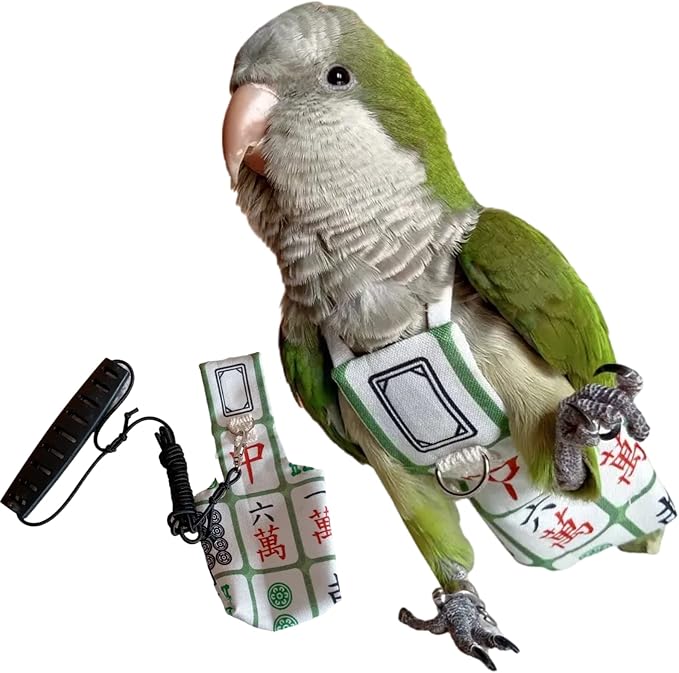 Bird Diaper Harness Flight Suit Clothes, Parrot Flight Suit with Leash for Parrot, Bird Flying Clothes with Rope and Handle for Outdoor Activities Training (with Leash,Hahn's Macaw)