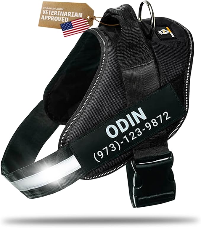 Personalized Dog Harness with Custom Name Patches, Adjustable Reflective No Choke Dog Vest with Handle for XXL Dog, Black, 2XL