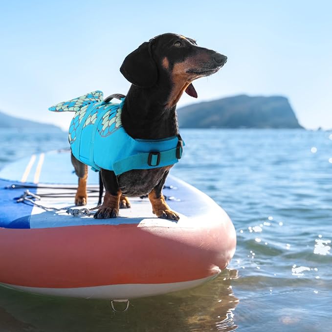 Mermaid Dog Life Jacket - Lightweight Dog Swimming Vest, High Buoyant for Small, Medium, Large Dogs (Blue,XXL)