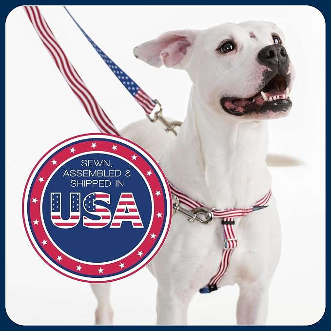 2 Hounds Design Freedom No Pull Dog Harness, 1 inch XL, Rose | Discourages Pulling, Comfortable Control Adjustable Dog Harness for Extra Large Sized Dogs, Made in USA (Leash Not Included)