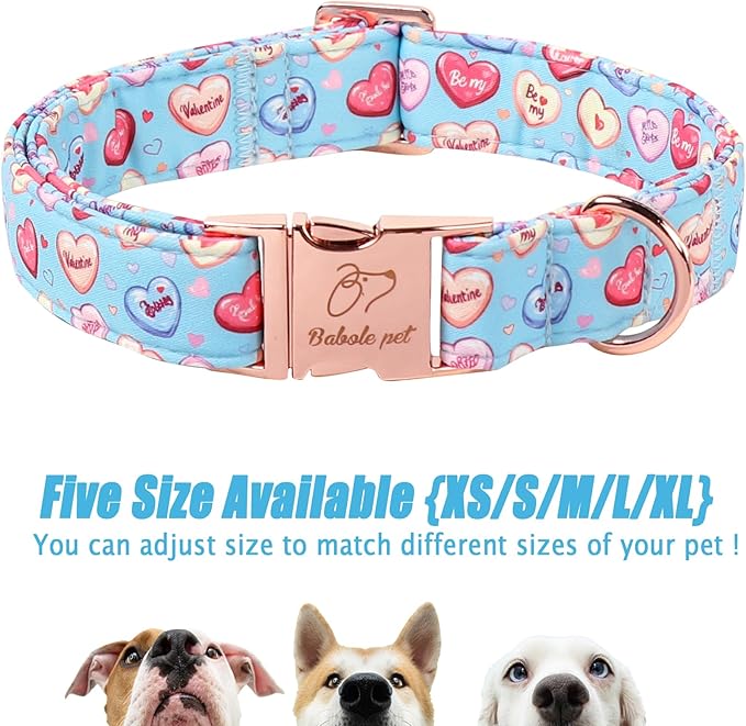 Valentines Dog Collar for Medium Dogs - Cute Blue Heart Pattern Puppy Collar Sweet Valentine Adjustable Heavy Duty Pet Collar with Metal Buckle M