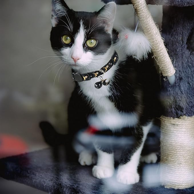 4 Pack Breakaway Cat Collar with Bell,Safety Adjustable Cat Collars Set with Moon and Star Pattern,Ideal for Girl Cats Boy Cats