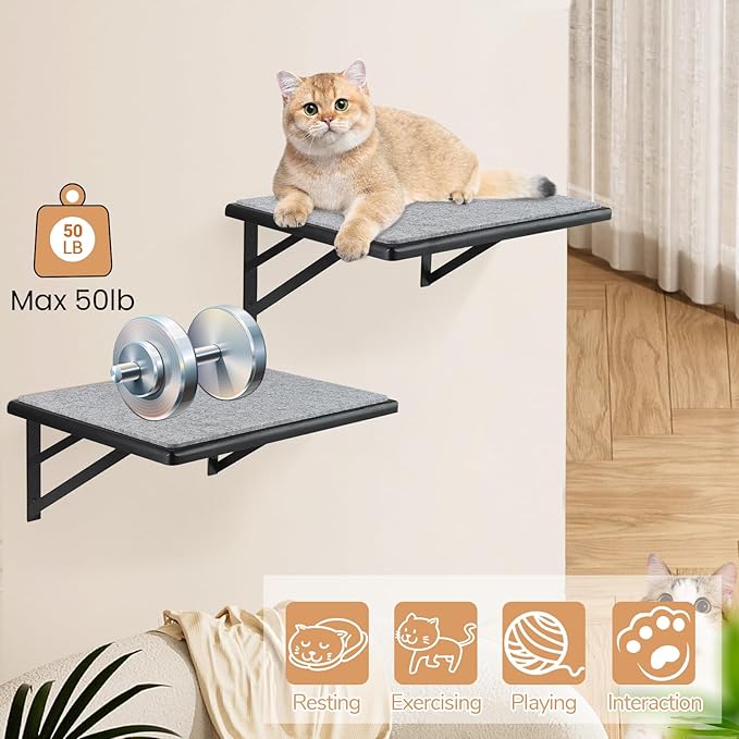 Cat Wall Shelves Set of 2, Wood Cat Shelves for Wall, Cat Wall Bed Hammock with Scratching Pad, Cat Climbing Shelf for Sleeping Playing, Cat Window Perch for Large Cats, Black Cat Furniture for Indoor