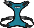 Voyager Step-in Pet Harness - All Weather Mesh, Adjustable Step in Harness for Cats and Dogs by Best Pet Supplies - Turquoise/Black Trim, XS
