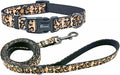 Dog Collar Leash Set, Leopard Pattern, Nylon Webbing Plus Cotton Ribbon, 5ft Matching Leash, for Medium Dogs.(M, Brown Leopard)