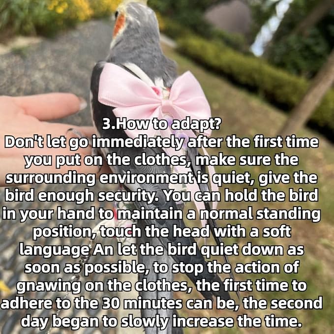 Bird Diaper Parrot Washable Diapers, Parrot Flight Suit, Reusable Nappies for Parakeet Cockatiel Mini Macaw Budgie Conure Lovebird (Beige,L)