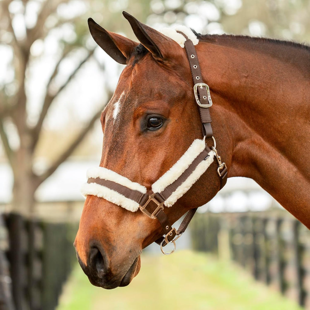 Equinavia Valkyrie Soft Ultra Fleece Padded Adjustable Breakaway Horse Halter - Brown/Ivory White - Horse