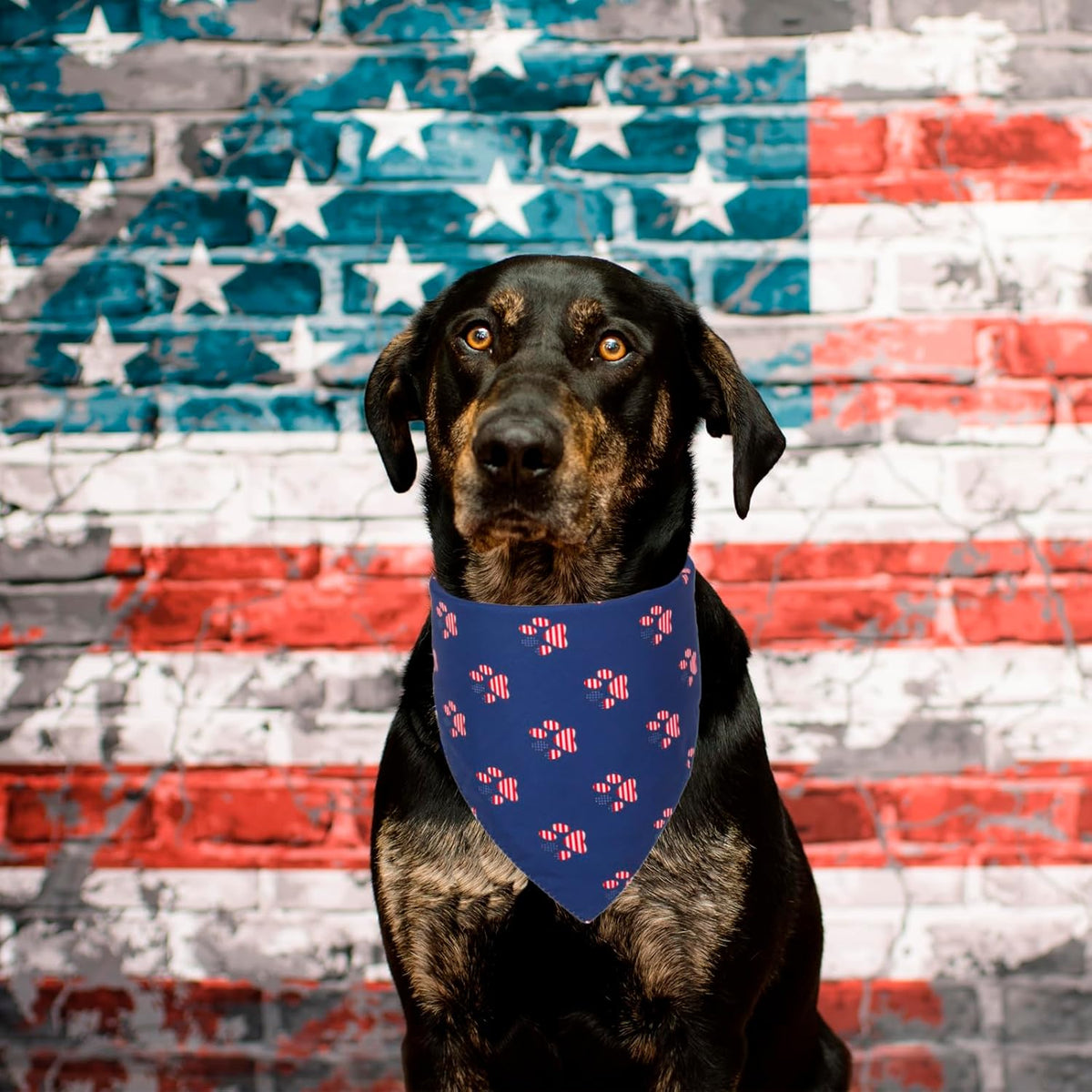 PTDECOR American US Flag Dog Bandana 4th of July Dog Bandanas Reversible Triangle Pet Bibs Scarf for Large and Extra Large Dogs (Style 1, X-Large)